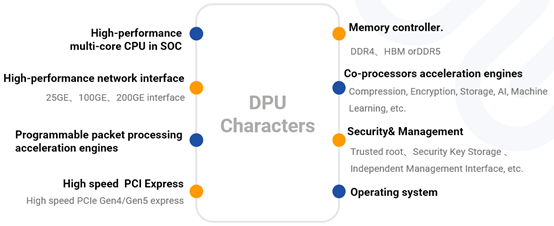 Many characteristics of DPU