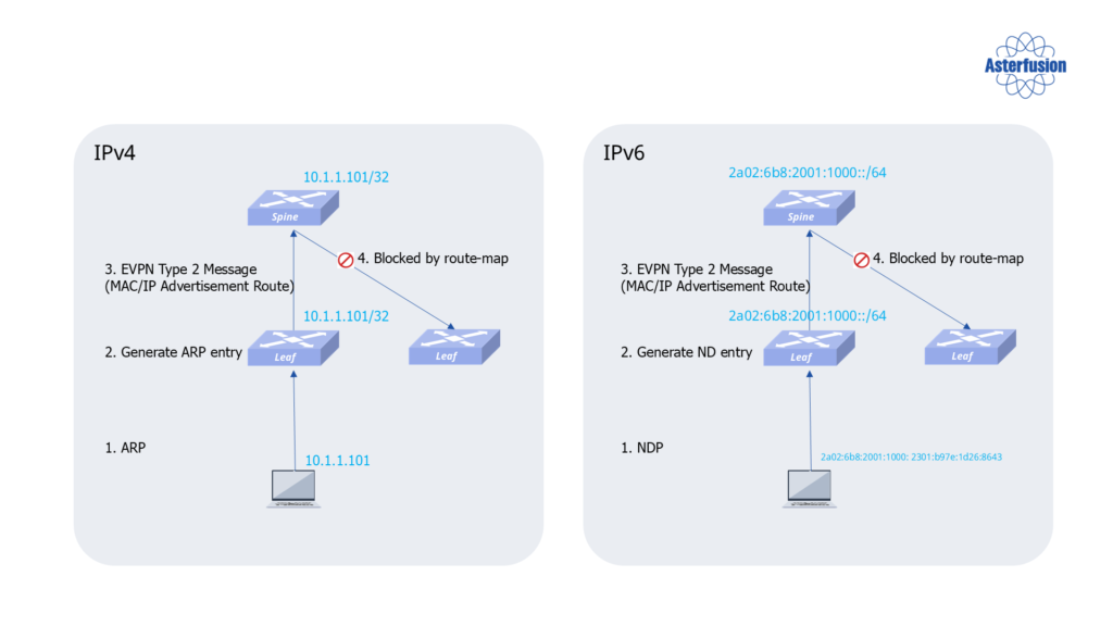 asterfusion-campus-network-arp-to-host
