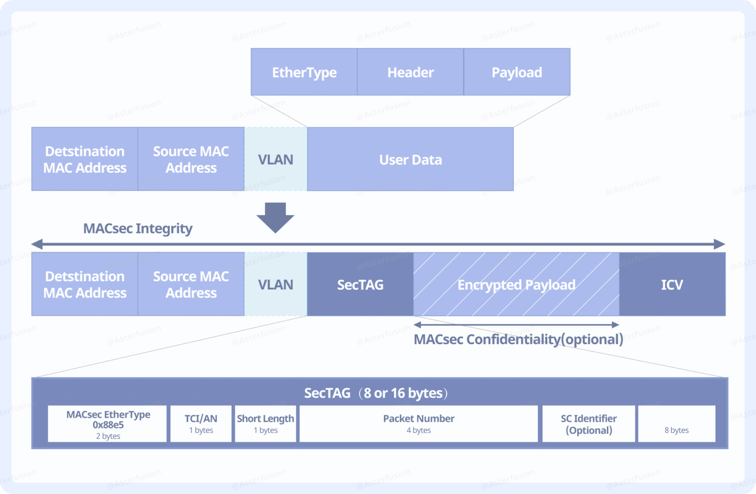 What Is MACsec And How Does It Work?
