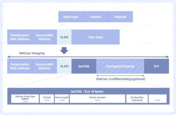 What Is MACsec And How Does It Work?