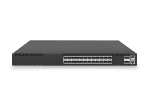 24-port-10g-aggregation-switch-with-2-port-100g-uplinks-1