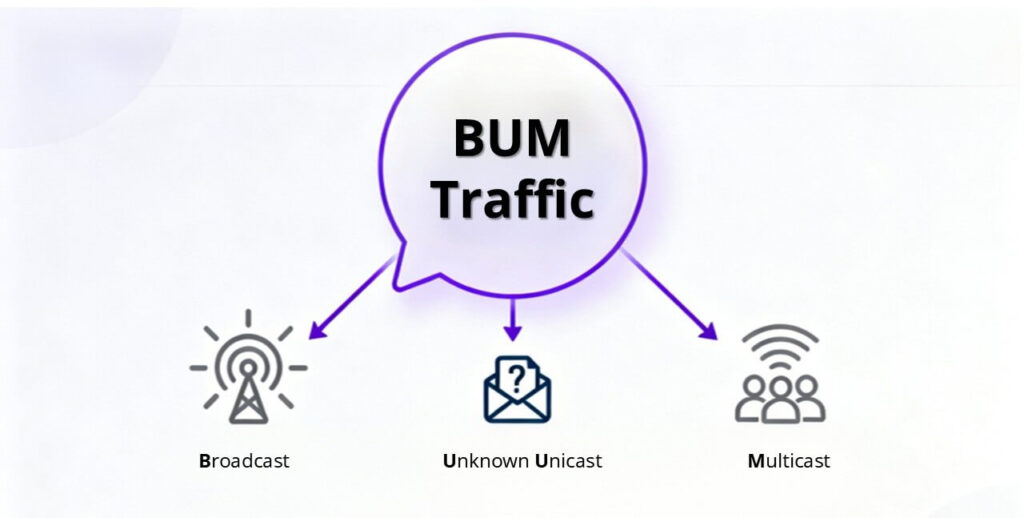 vxlan-multicast-bum-traffic-forwarding-method-1
