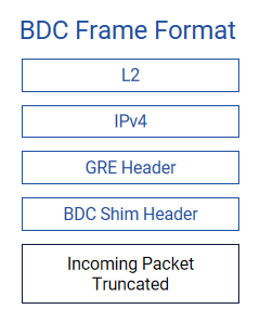 INT Technology: BDC & HDC For AI Network Monitoring