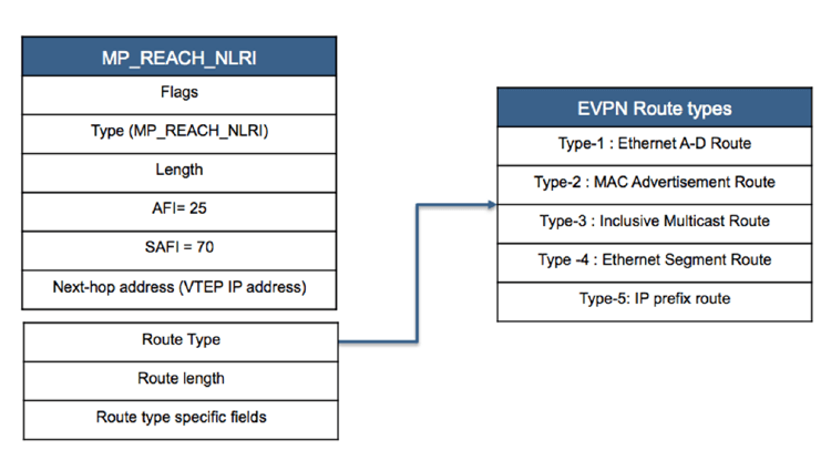 bgp-evpn-in-enterprise-sonic-type