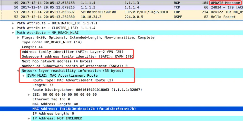 bgp-evpn-in-enterprise-sonic-wireshark