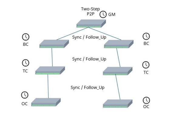 All PTP Clock Types And How To Configure In Asterfusion