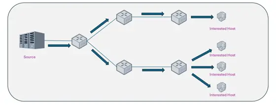 ip-multicast-on-sonic-with-vpp-o1